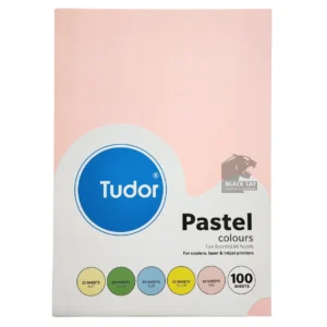 Tudor Pastel Colours A4 Paper for printers and copiers in Blackwood